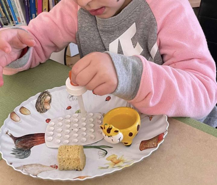 Des spécialistes de la pédagogie montessori à votre service à Gauriaguet